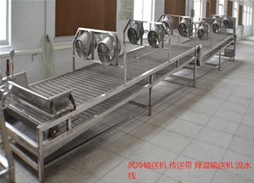 链网降温输送机